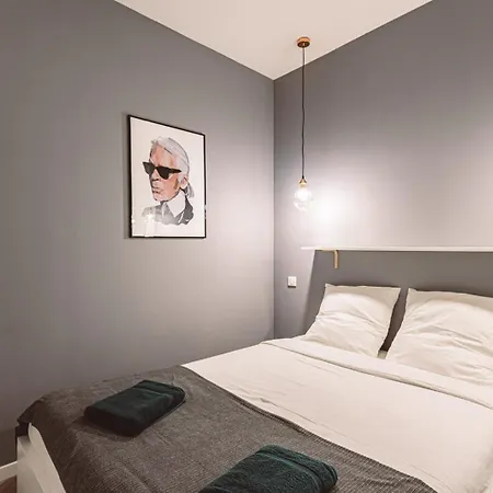 Daire Henri Au Pied De La Cathedrale. Reims